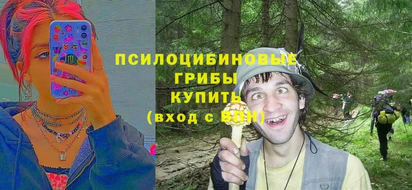 каннабис Белокуриха
