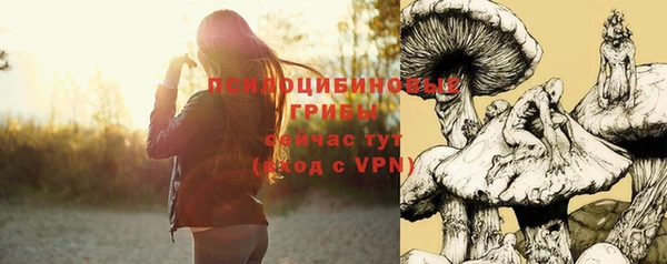 PSILOCYBIN Семикаракорск
