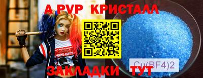 мдпв Гатчина