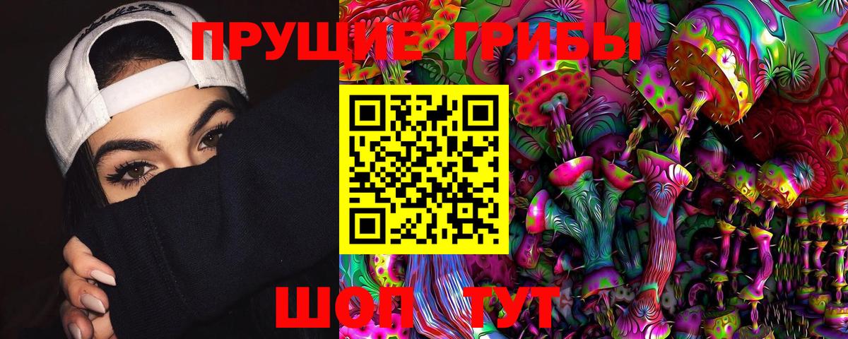 Гудермес  где купить   Вход с VPN  Псилоцибиновые грибы GOLDEN TEACHER 