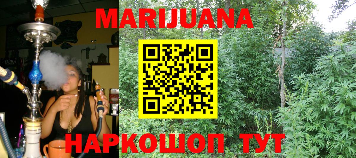 Бошки Шишки сатива Гудермес